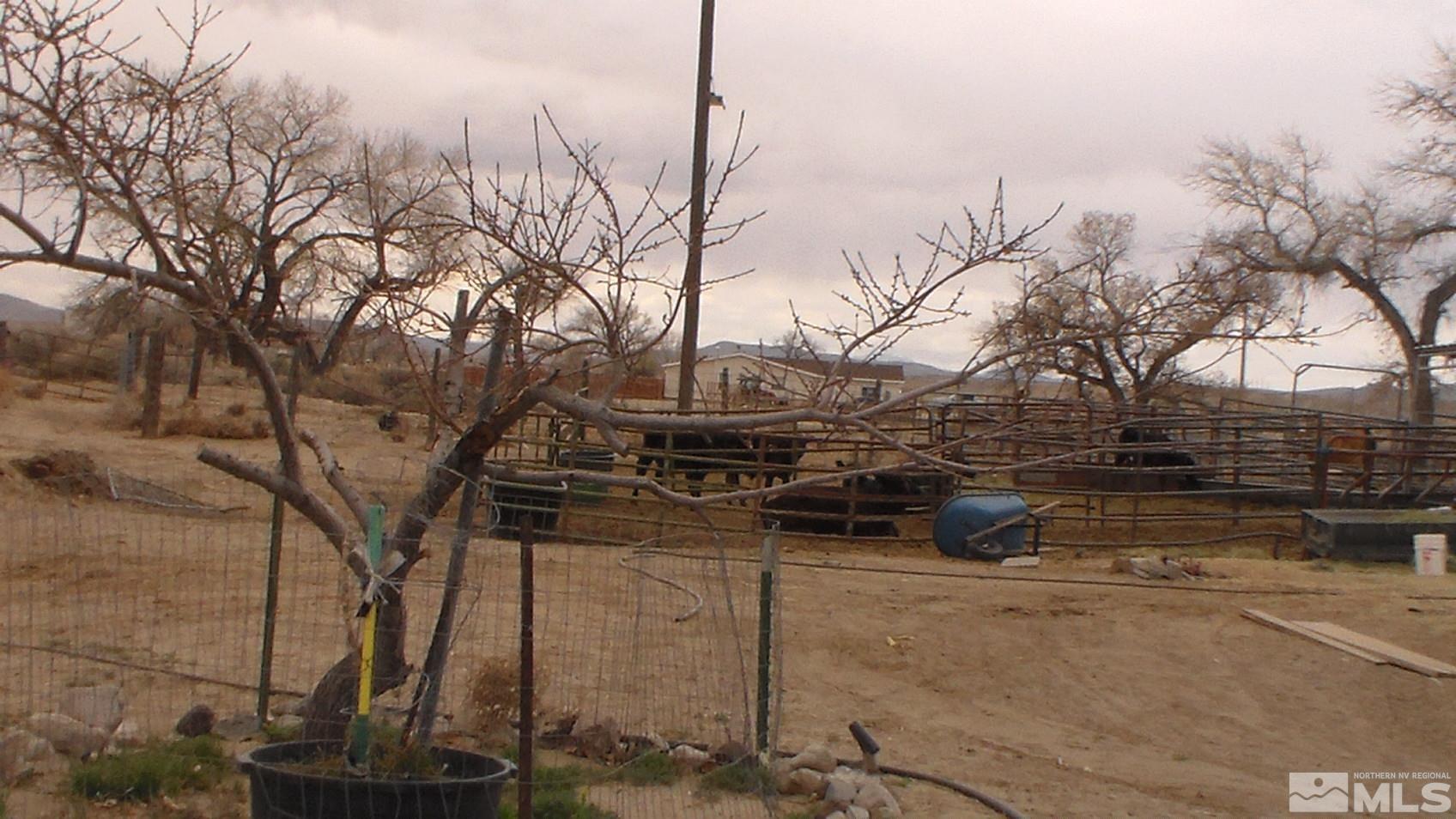 13757 Carson Highway Fallon, NV 89406 - Photo 19 of 24 Photo 19
