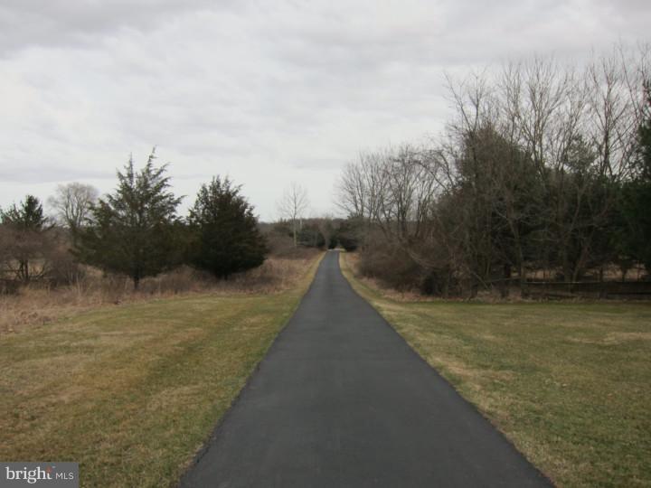 5991 Stovers Mill Road Doylestown, PA 18902 - Photo 20 of 21 View from Front Door
