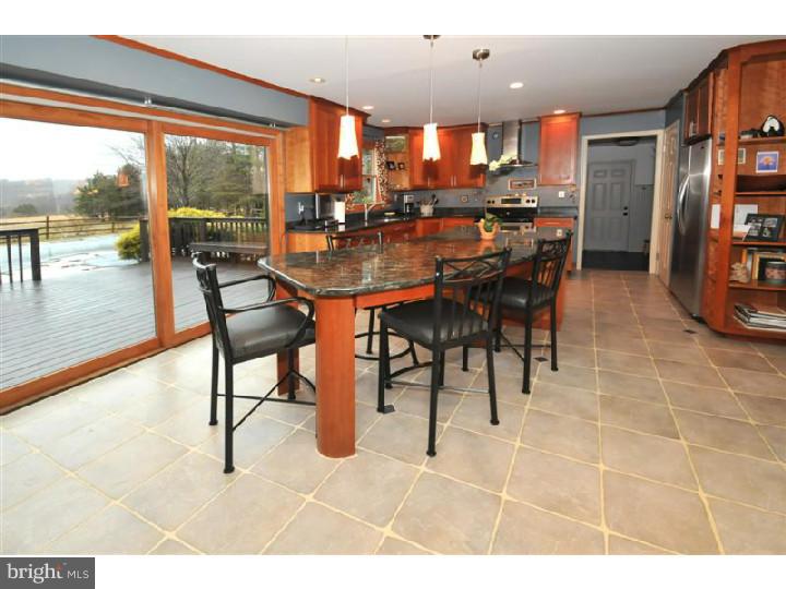 5991 Stovers Mill Road Doylestown, PA 18902 - Photo 6 of 21 Kitchen