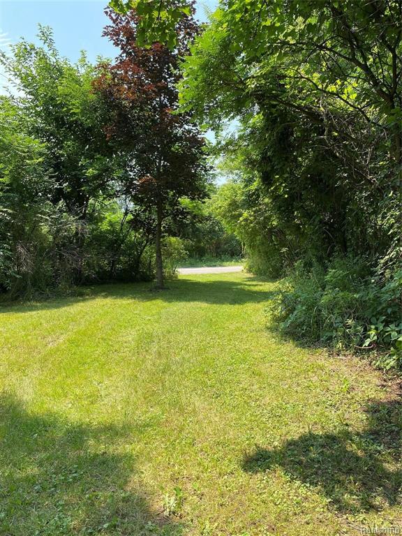 71050 Coon Creek Road Armada, MI 48005 - Photo 78 of 99 Gallery Image 78