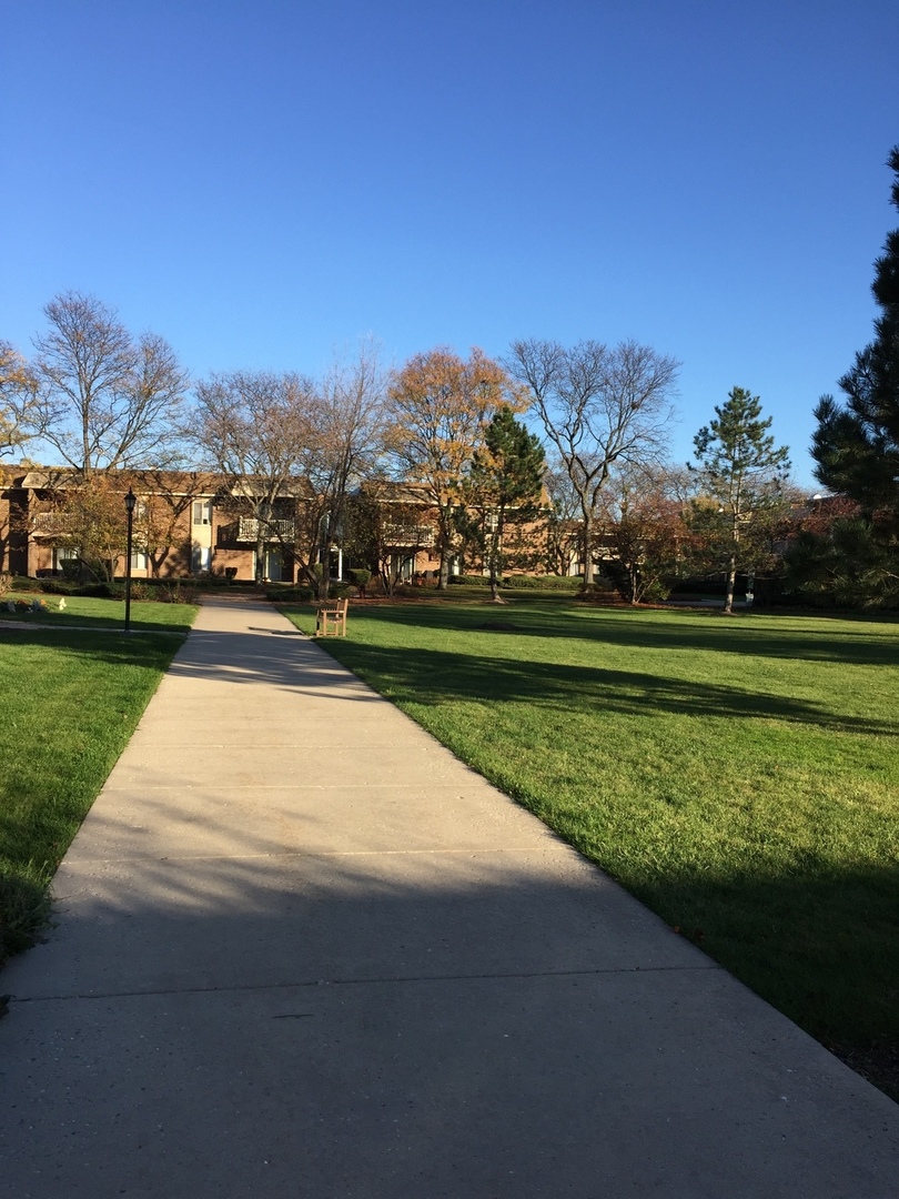 516 North Wilke Road, Unit 204 Palatine, IL 60074 - Photo 15 of 18