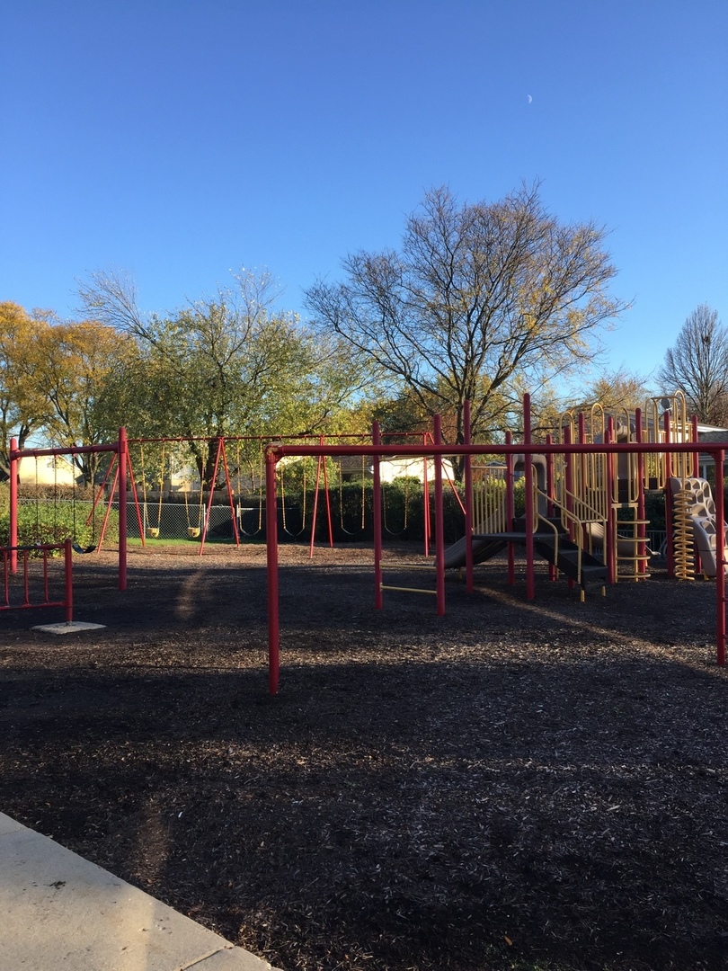 516 North Wilke Road, Unit 204 Palatine, IL 60074 - Photo 16 of 18
