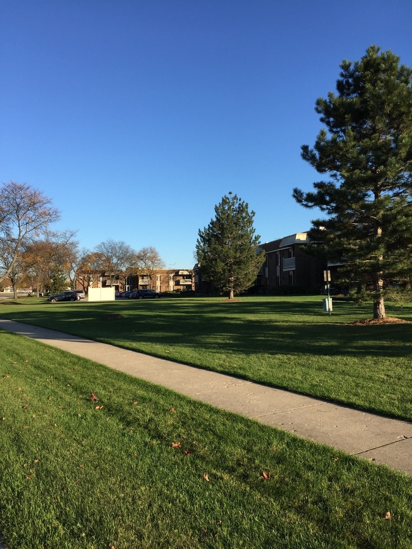 516 North Wilke Road, Unit 204 Palatine, IL 60074 - Photo 17 of 18
