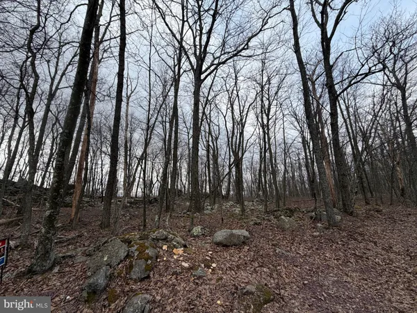 a view of outdoor space with lots of trees