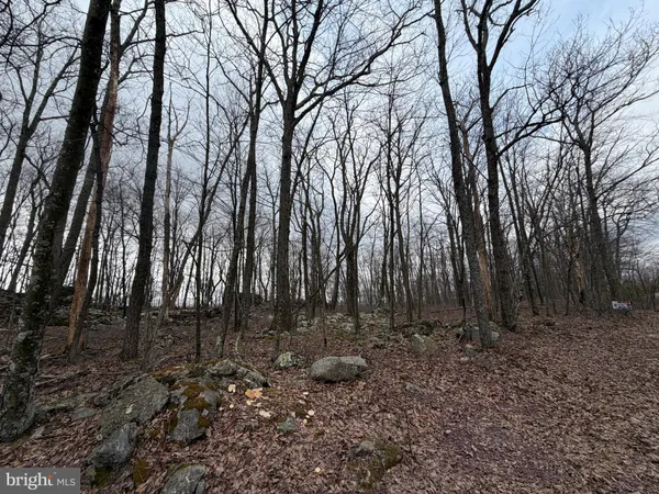 a view of backyard with green space