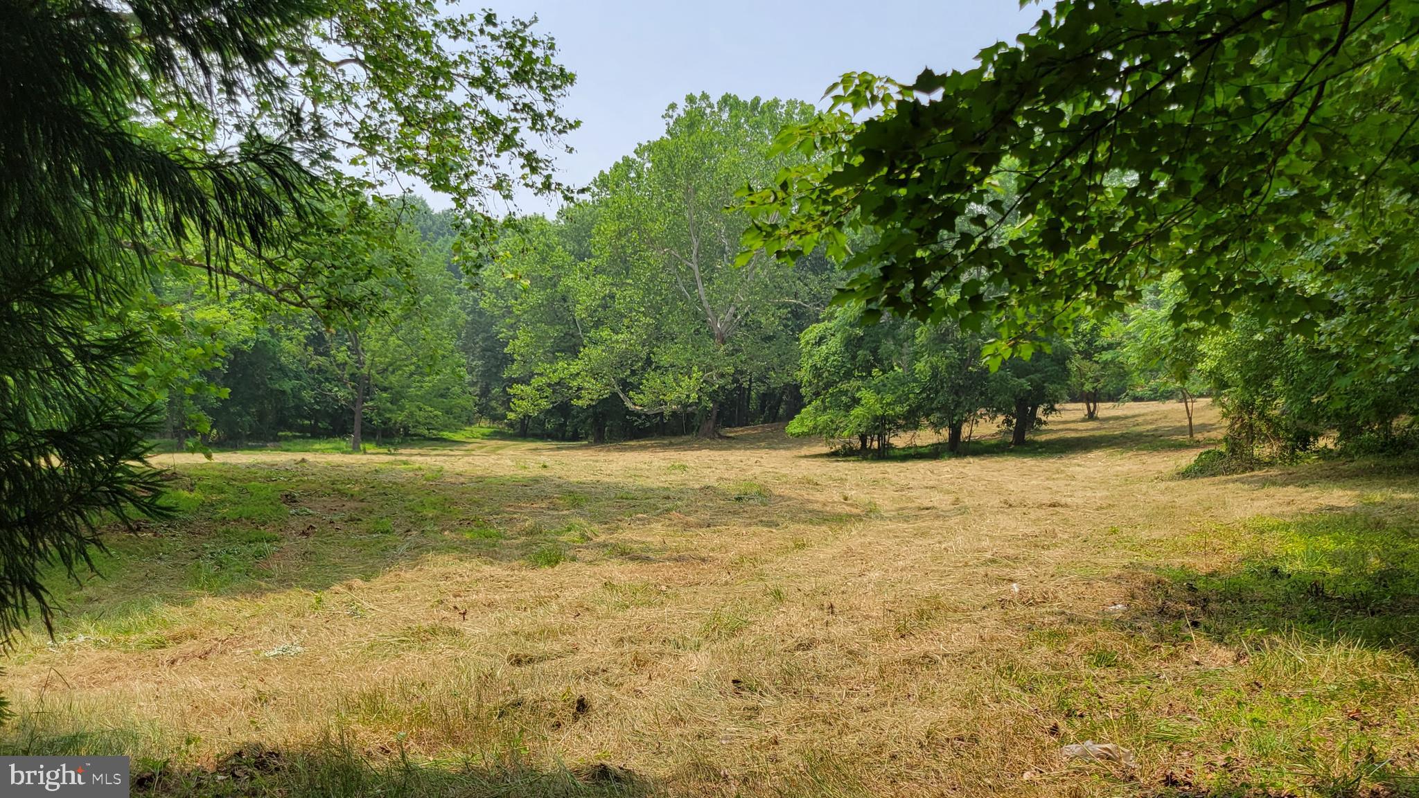 Rowe Monrovia, MD 21770 - Photo 1 of 11 View from S end of Prop looking N towards woods