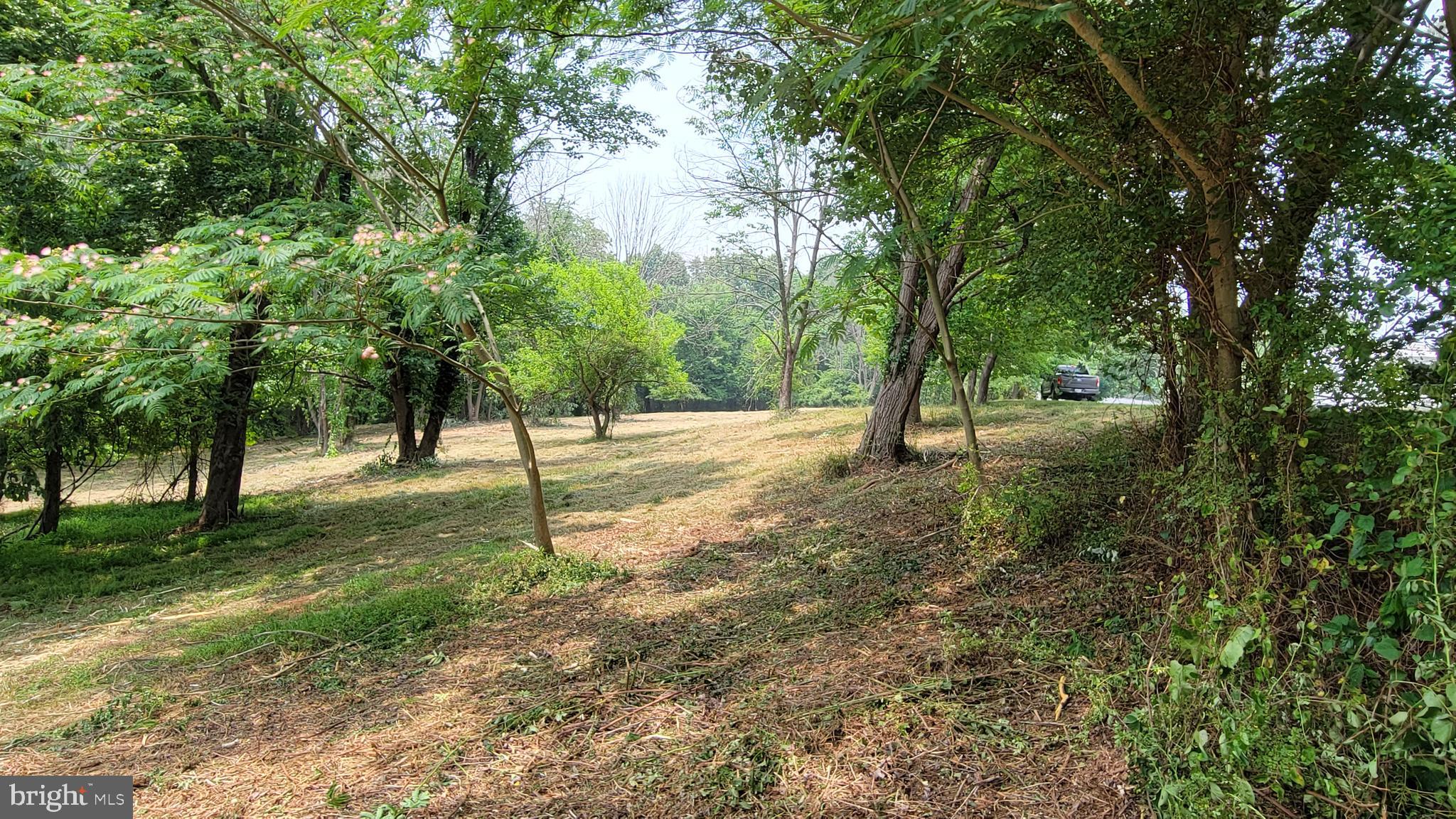 Rowe Monrovia, MD 21770 - Photo 11 of 11 panorama 4 view from E end of Prop looking N