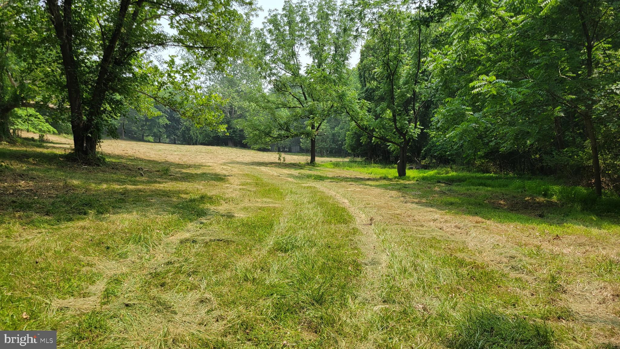 Rowe Monrovia, MD 21770 - Photo 2 of 11 NW corner of cleared field looking south