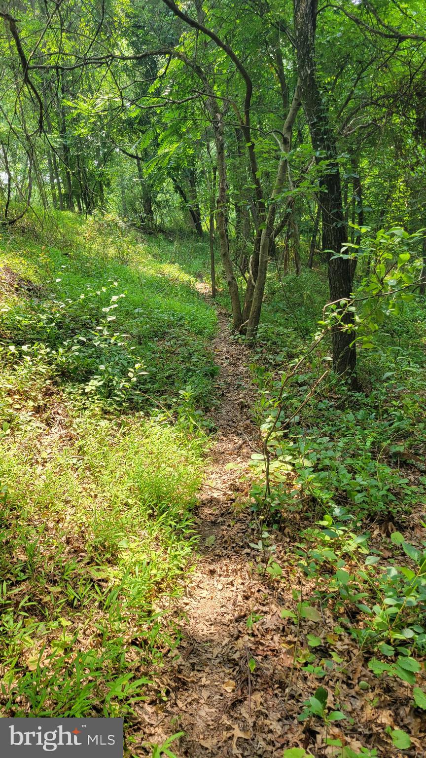 Rowe Monrovia, MD 21770 - Photo 5 of 11 one of several deer trails through the woods