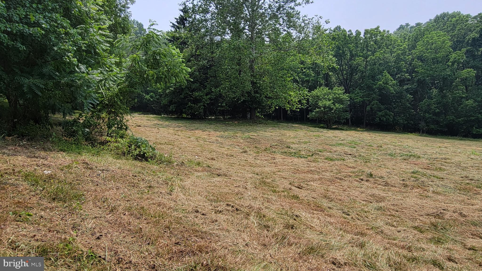 Rowe Monrovia, MD 21770 - Photo 8 of 11 panorama 1 view from E end of Prop looking S