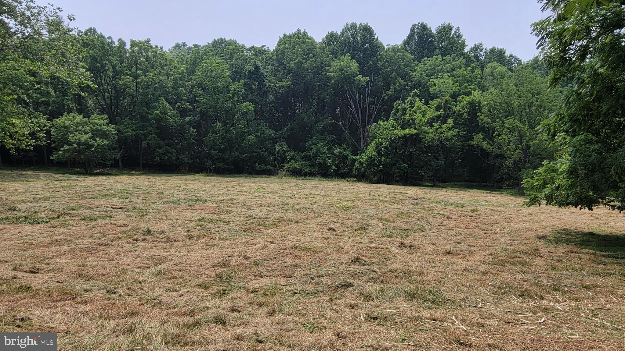 Rowe Monrovia, MD 21770 - Photo 9 of 11 panorama 2 view from E end of Prop looking SW