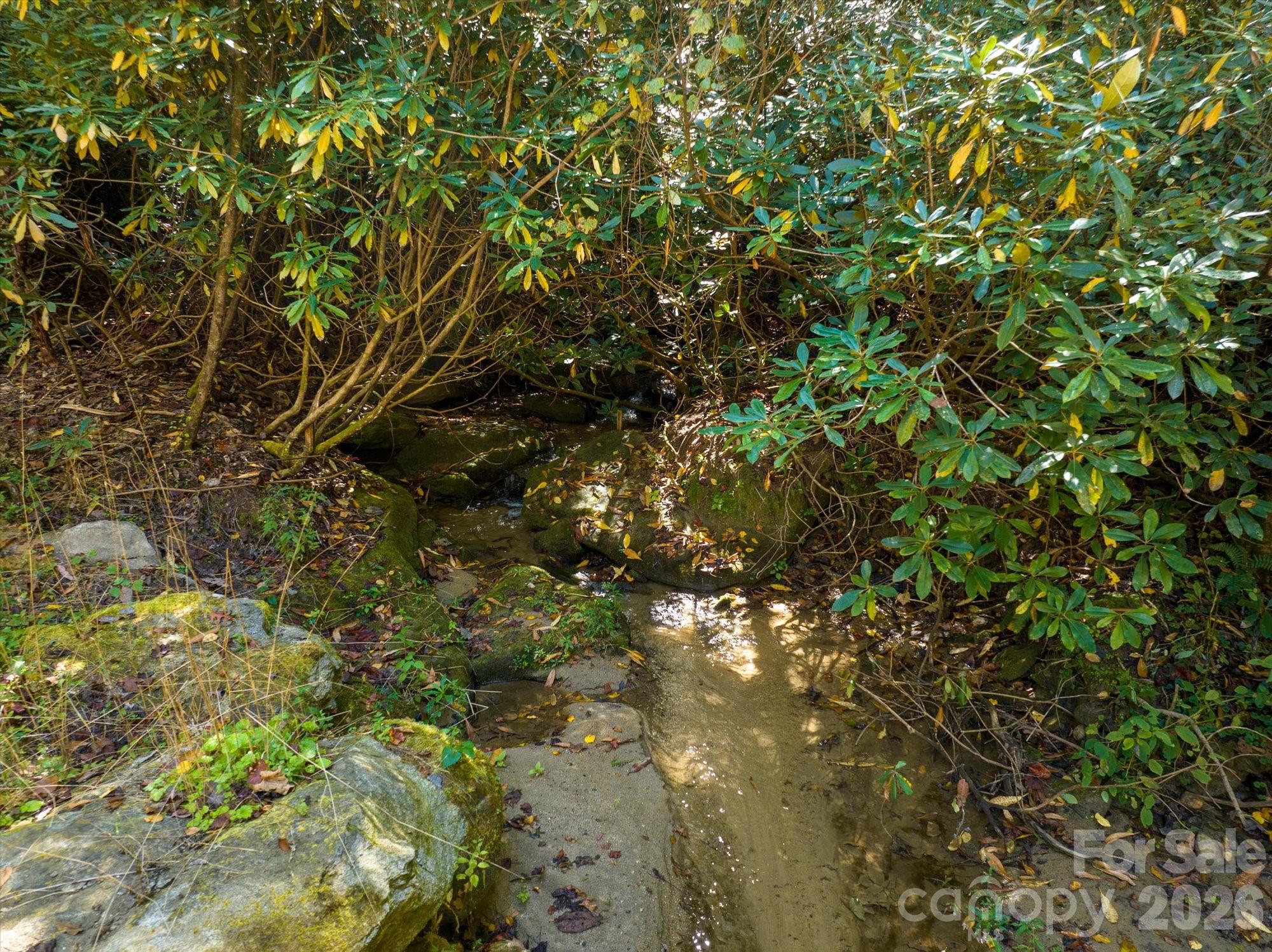 0 Big Hungry Road Flat Rock, NC 28731 - Photo 2 of 40 a view of a tree