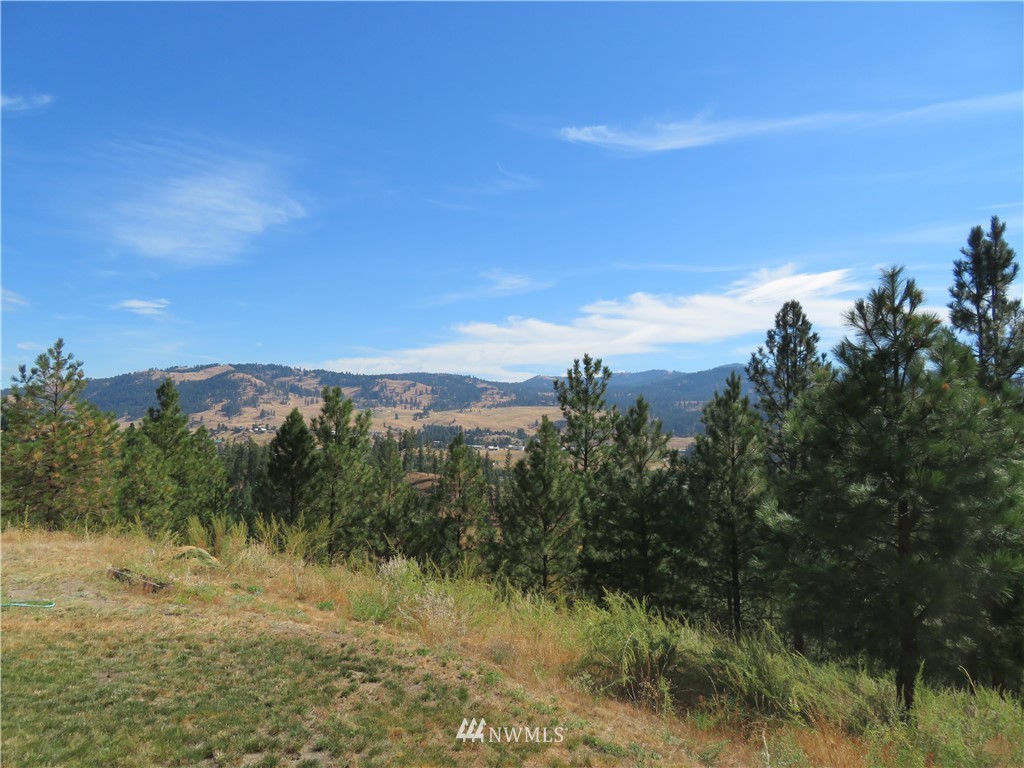 25 Gray Hawk Way Republic, WA 99166 - Photo 22 of 25 Gallery Image 22