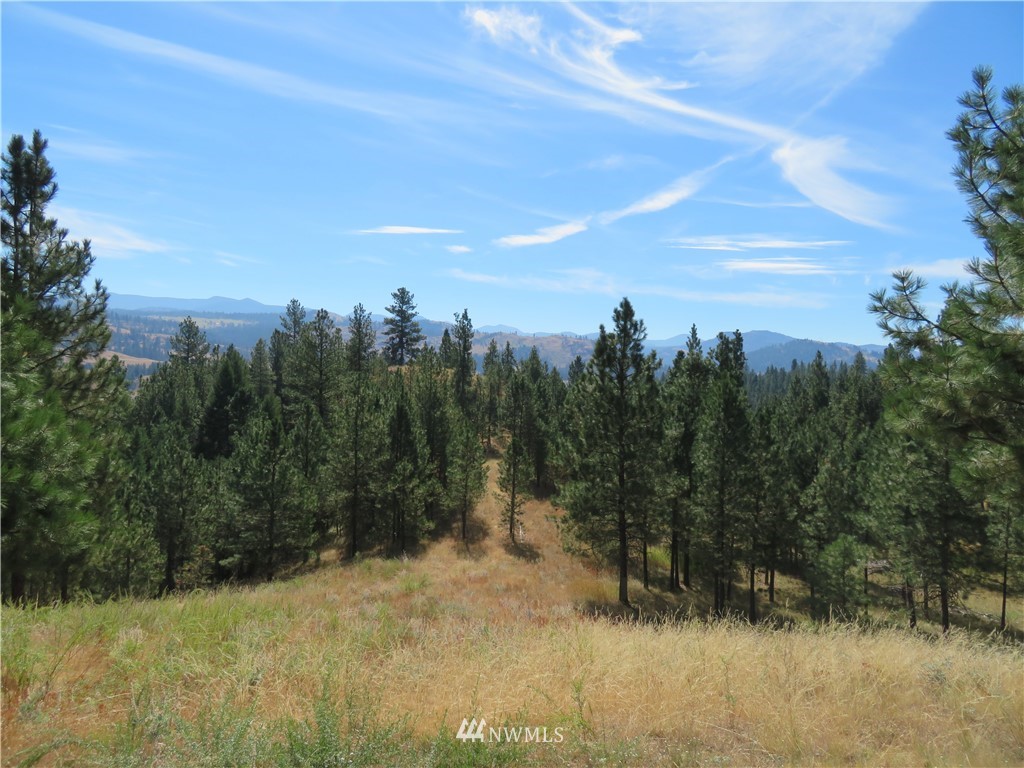 25 Gray Hawk Way Republic, WA 99166 - Photo 23 of 25 Gallery Image 23
