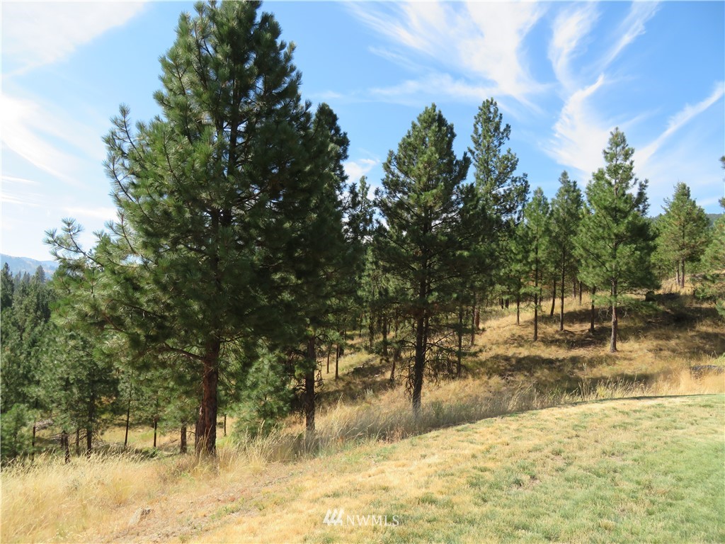 25 Gray Hawk Way Republic, WA 99166 - Photo 24 of 25 Gallery Image 24