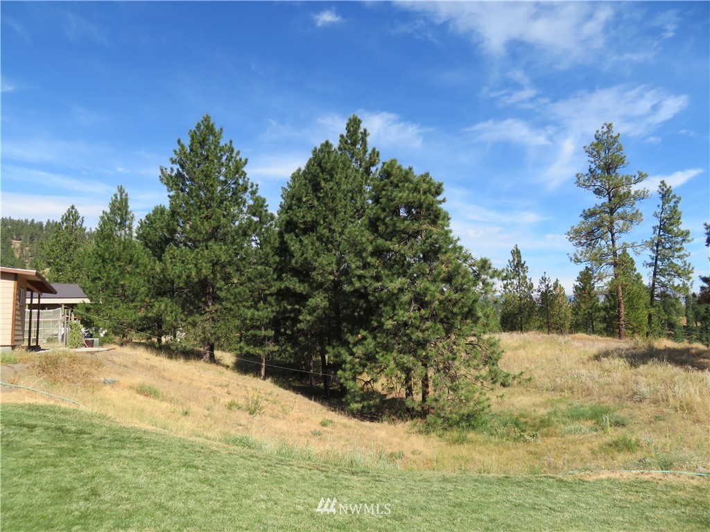 25 Gray Hawk Way Republic, WA 99166 - Photo 25 of 25 Gallery Image 25