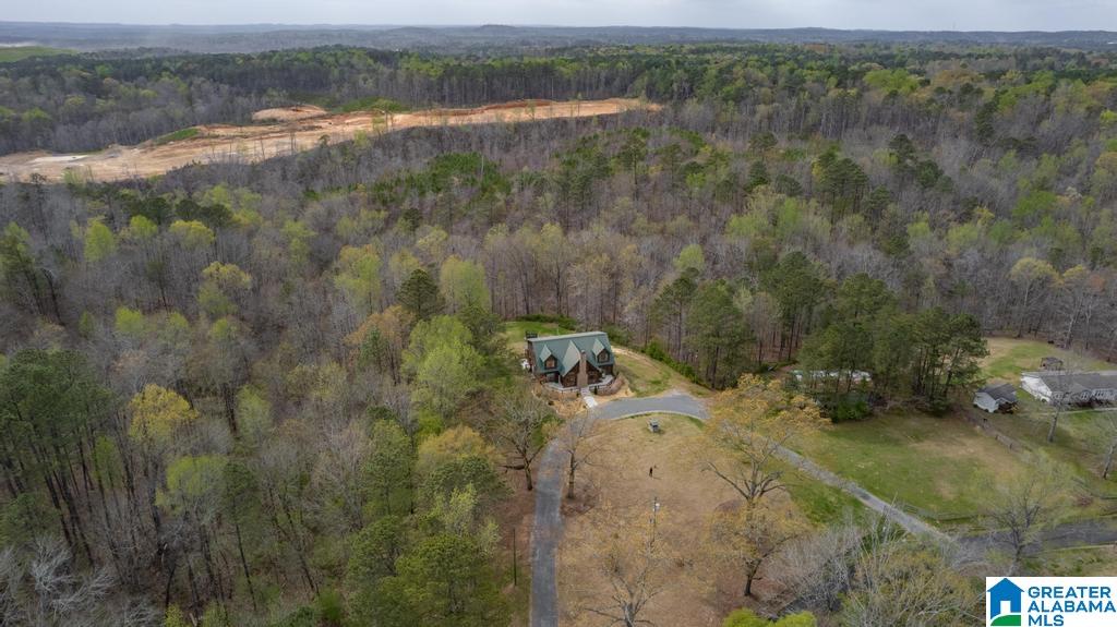 7130 Sellers Road Dora, AL 35062 - Photo 56 of 63