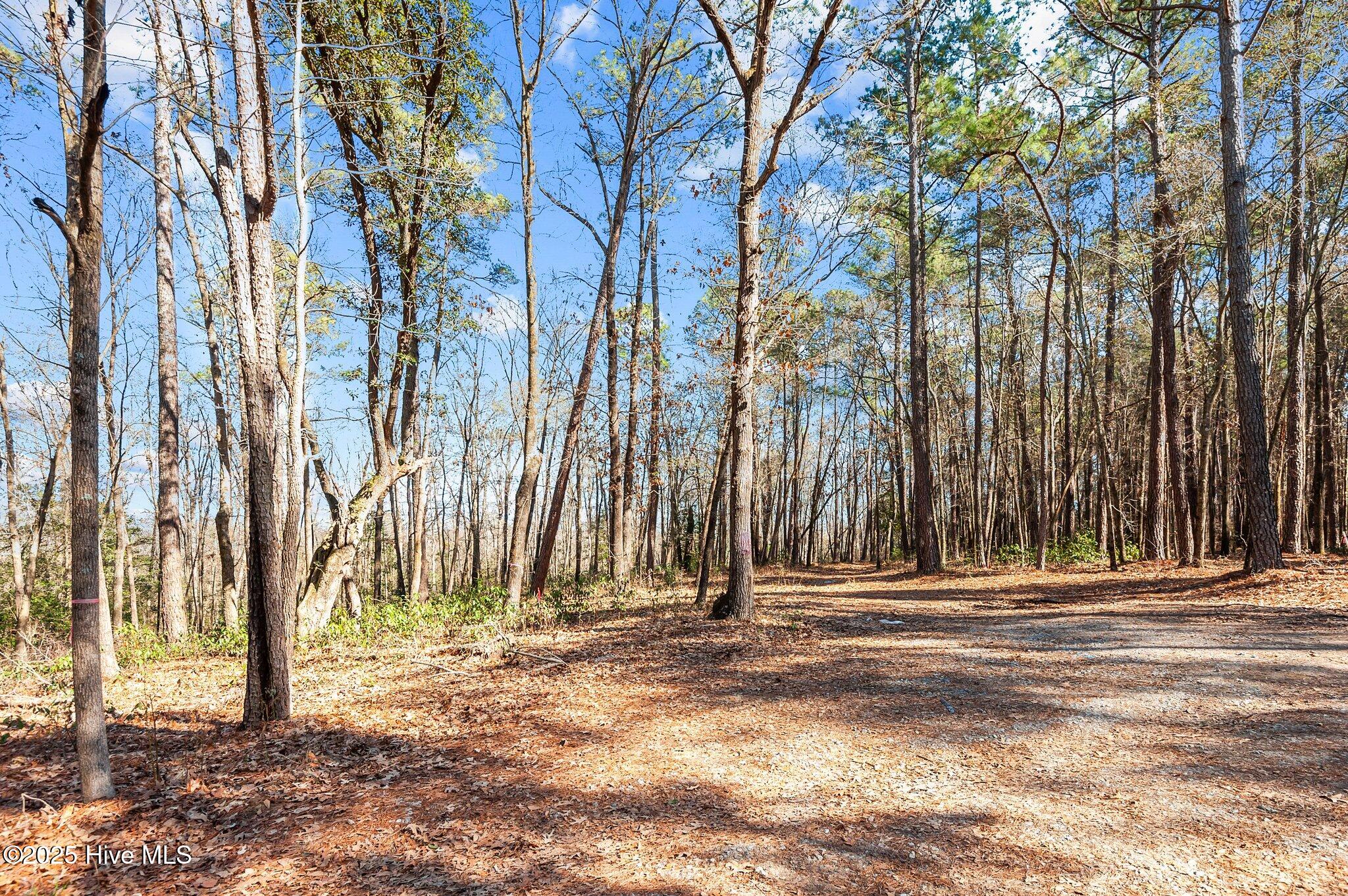 155 Fairmax Road Goldsboro, NC 27534 - Photo 16 of 24 15-web-or-mls-_DSC3482