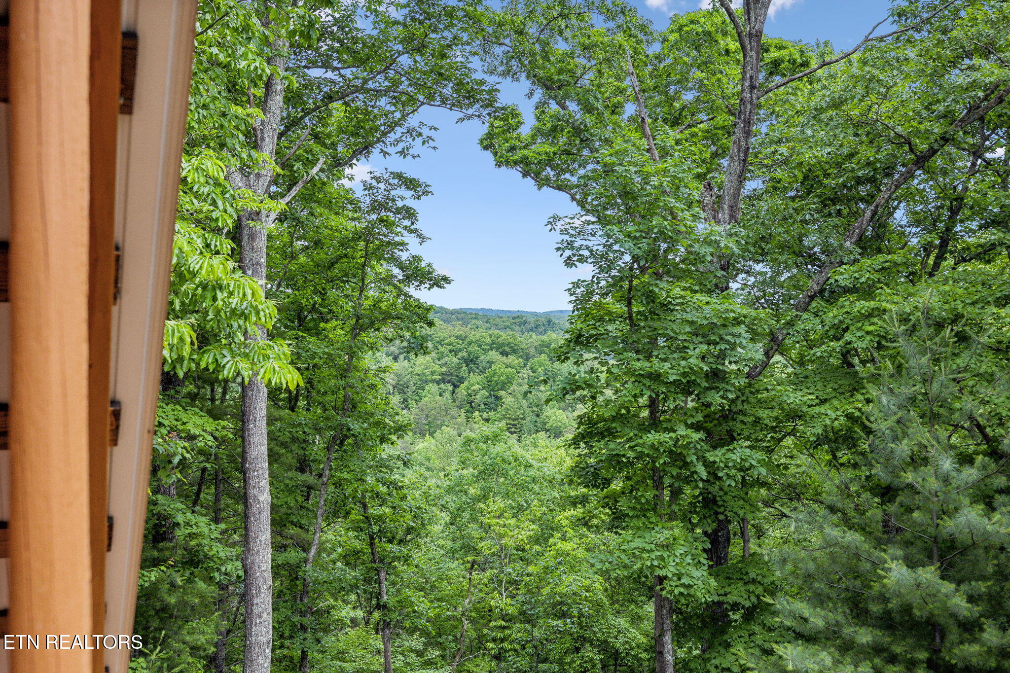 195 Gold Miners Road Tellico Plains, TN 37385 - Photo 41 of 46 39-web-or-mls-195 Gold Miners Rd - 038
