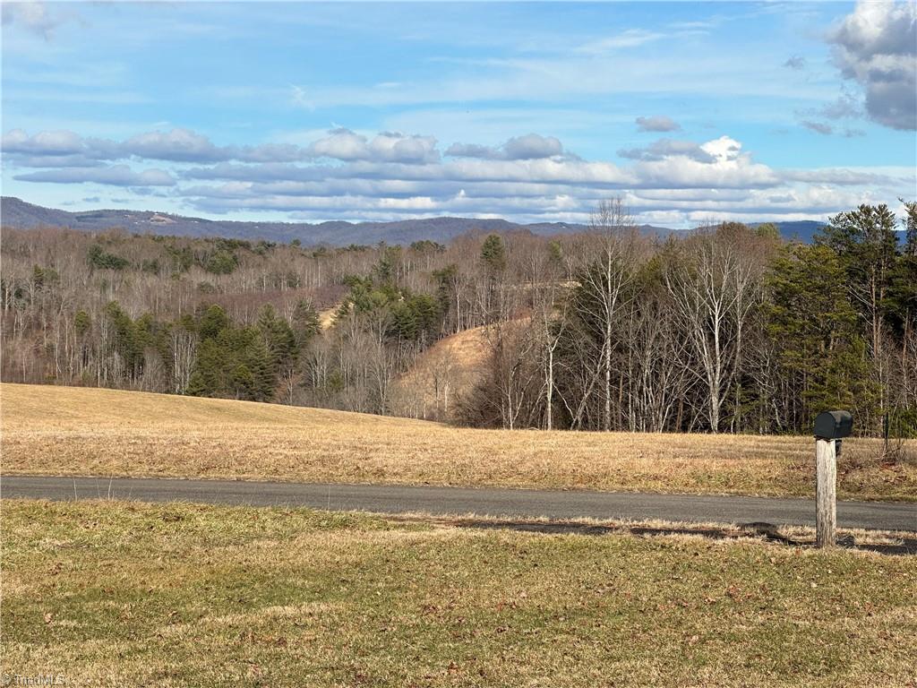 1274 Apple Ridge Road Cana, VA 24317 - Photo 6 of 30 Views from the Yard
