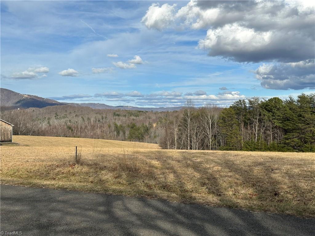 1274 Apple Ridge Road Cana, VA 24317 - Photo 7 of 30 Views from Driveway