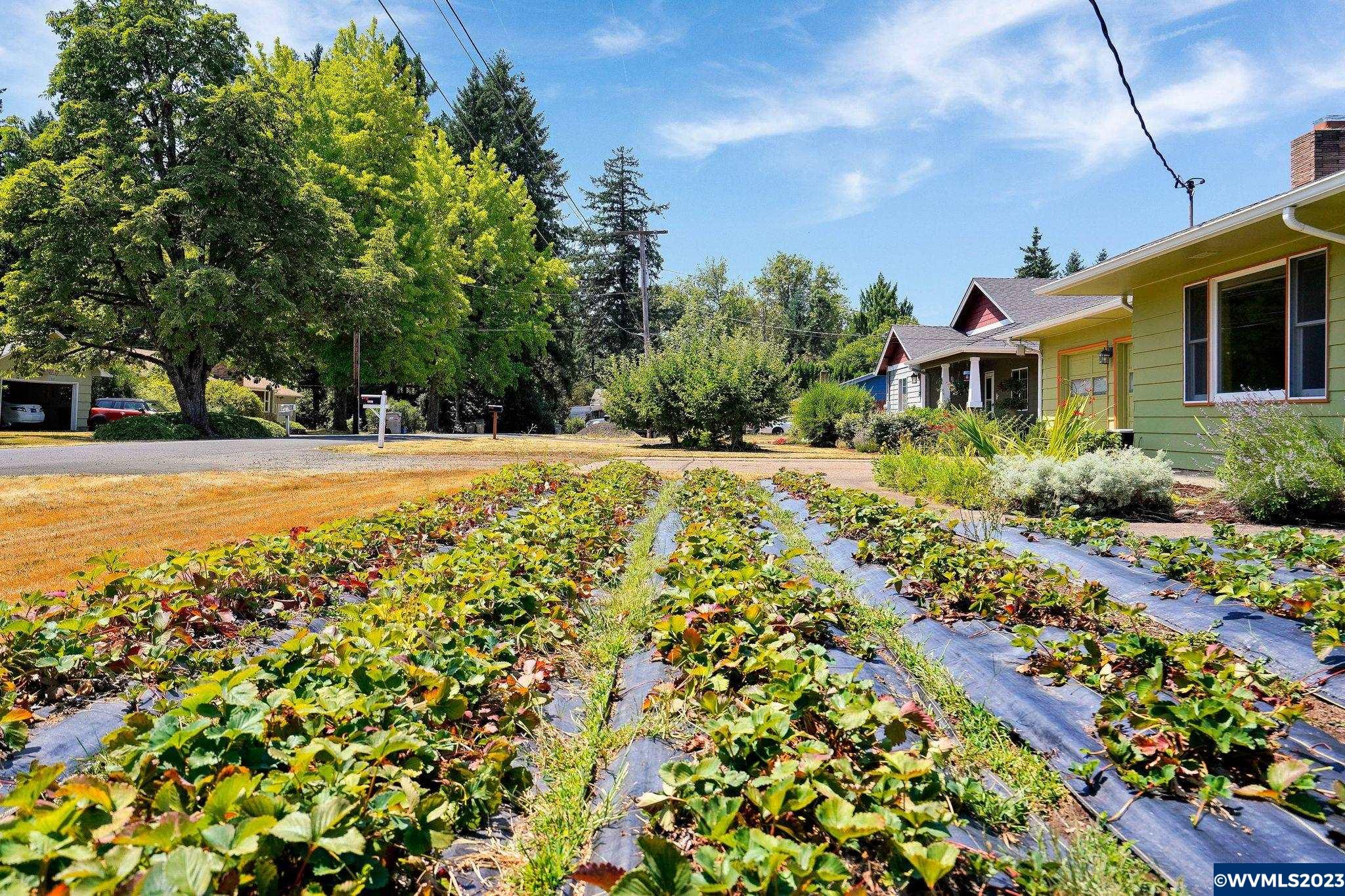 1121 37th Avenue Southwest Albany, OR 97321 - Photo 4 of 42