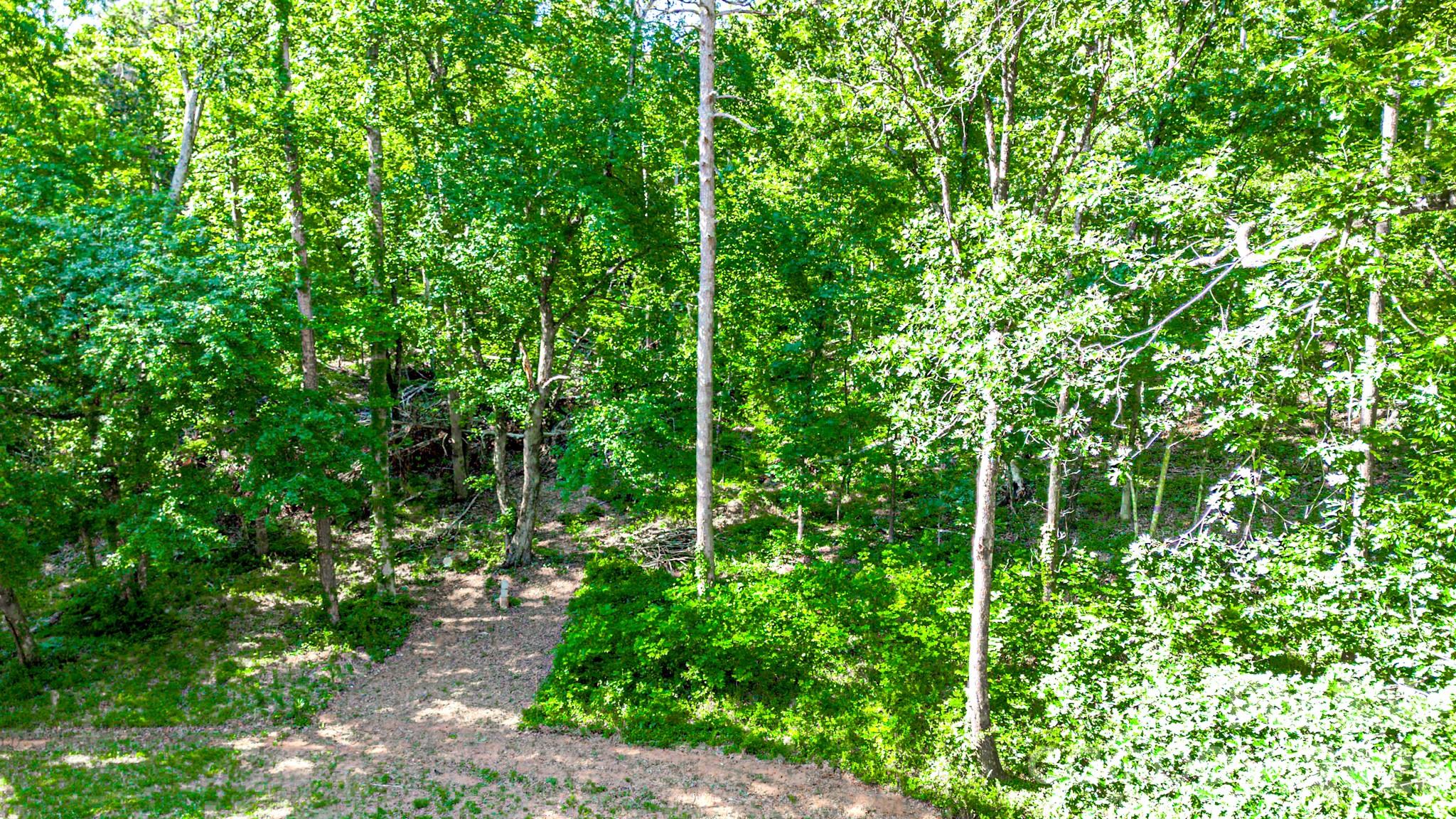 142 Padgett And Burns Road Forest City, NC 28043 - Photo 45 of 48