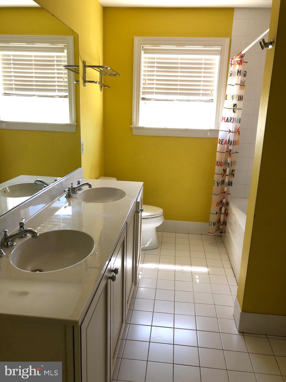 1415 Reiner Road Norristown, PA 19403 - Photo 29 of 53 jack and jill bathroom between both blue bedrooms
