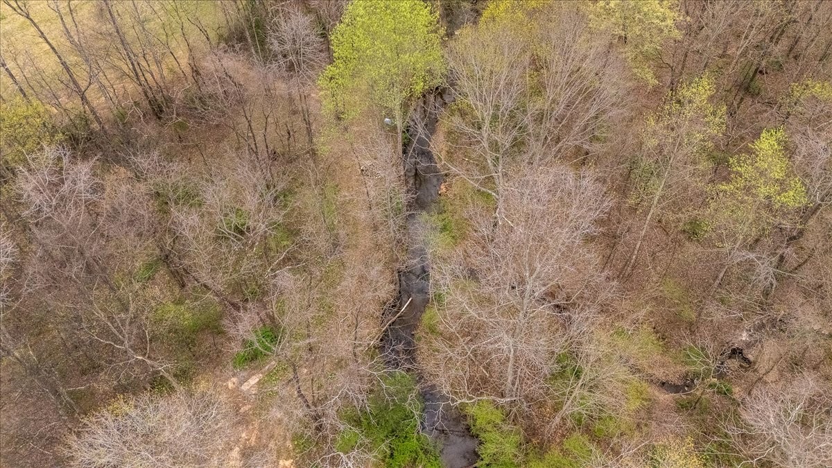 79 French Road Loretto, TN 38469 - Photo 43 of 52