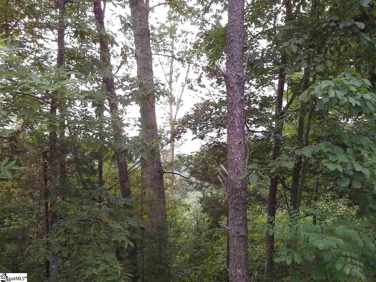 0 Packs Mountain Ridge Road Taylors, SC 29687 - Photo 3 of 6 Gallery Image 3