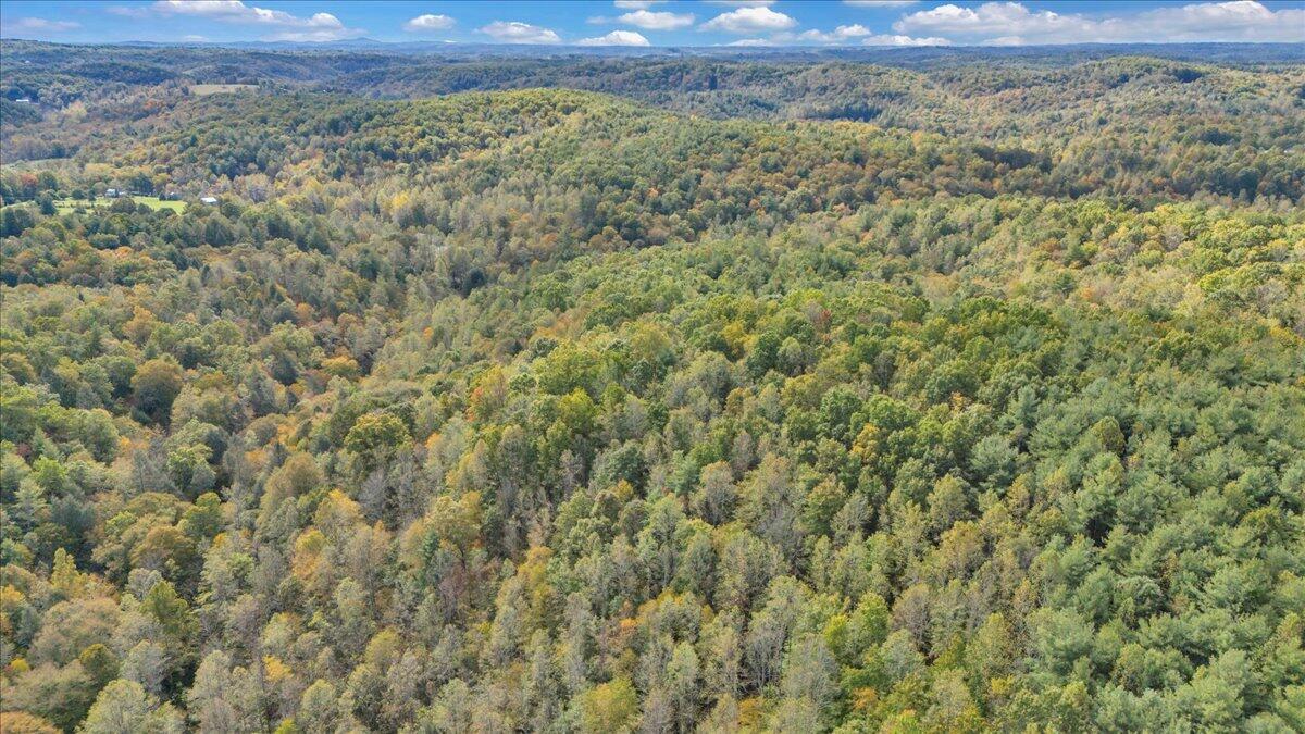 6973 Henry Road Henry, VA 24102 - Photo 55 of 64 097-DJI_20251013113639_0013_D