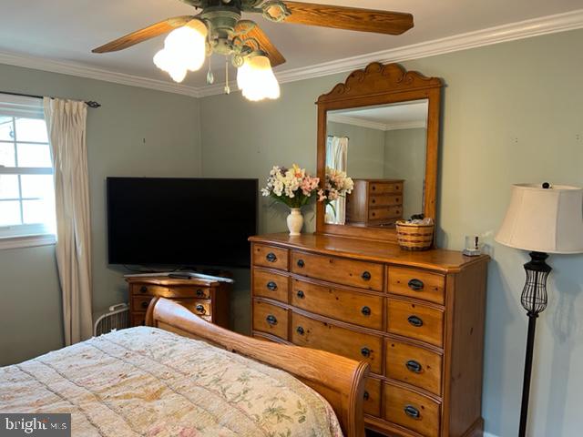38 Roxboro Road Lawrenceville, NJ 08648 - Photo 24 of 64