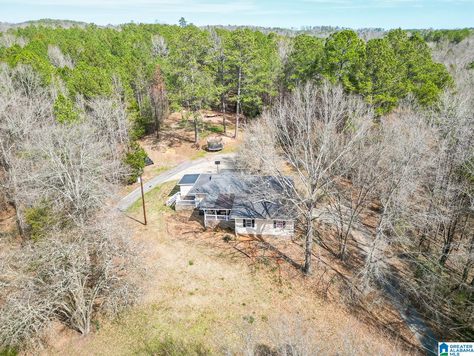 2126 Cedar Springs Road Jacksonville, AL 36265 - Photo 38 of 44