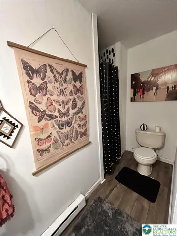 a bathroom with a toilet and a shower curtain