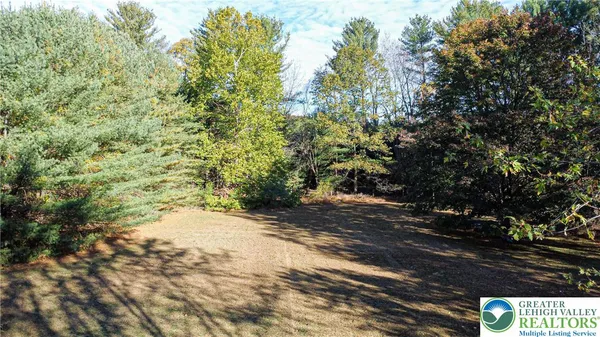 a view of a yard with plants and trees