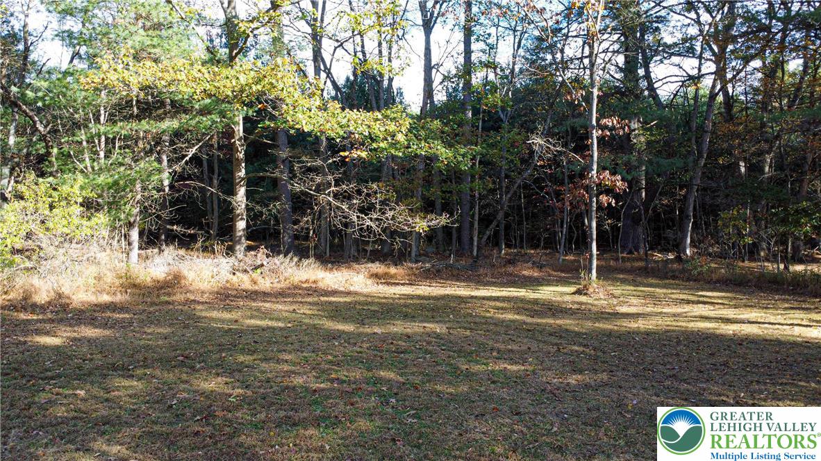 160 Grassy Road Kunkletown, PA 18058 - Photo 37 of 44 a view of a sink in the middle of a yard