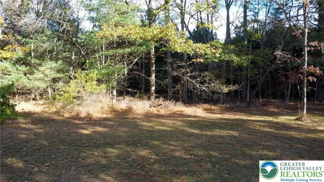 a view of a yard with large trees