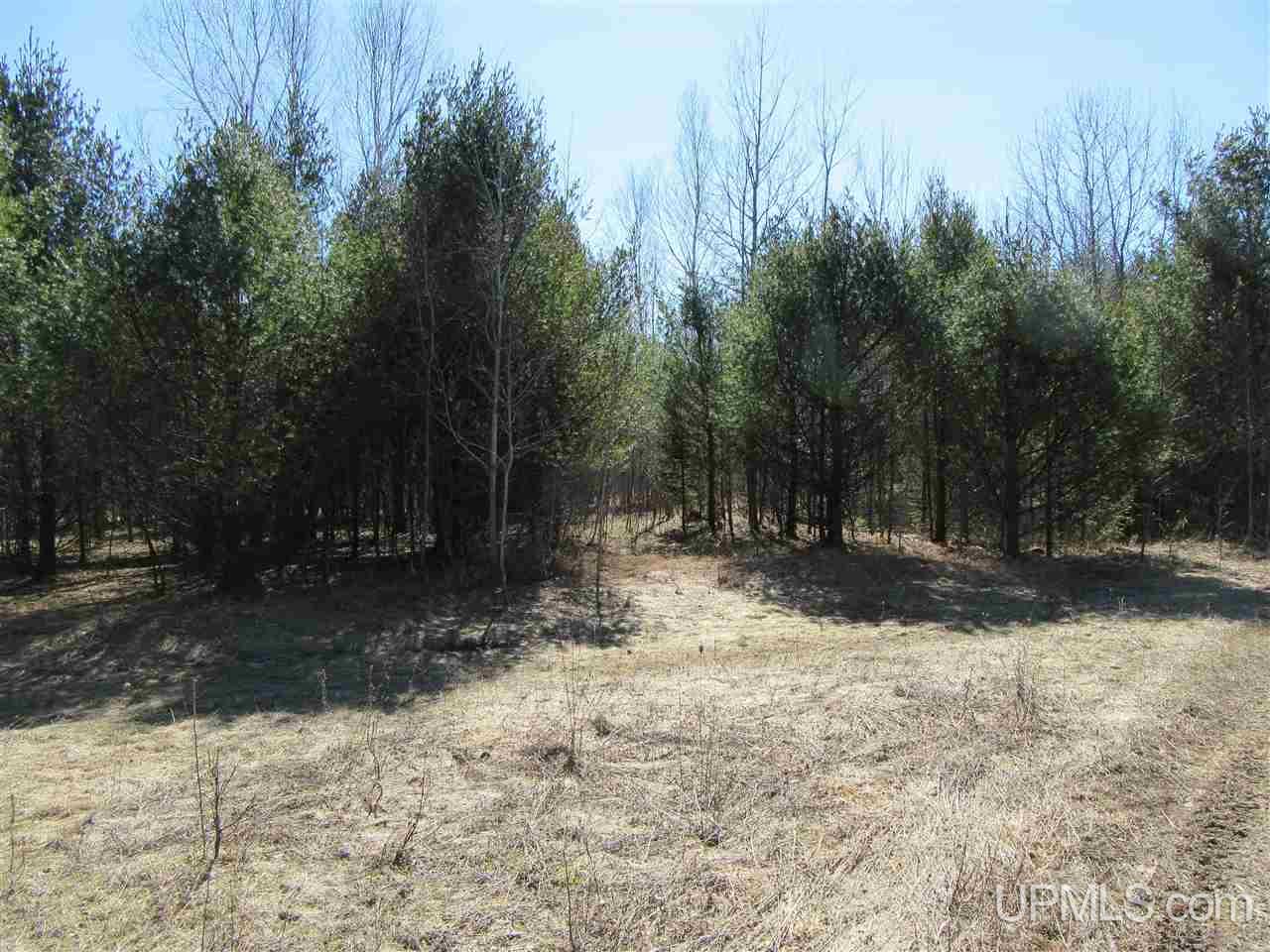 Tbd Swanson Road Manistique, MI 49854 - Photo 3 of 4 Gallery Image 3