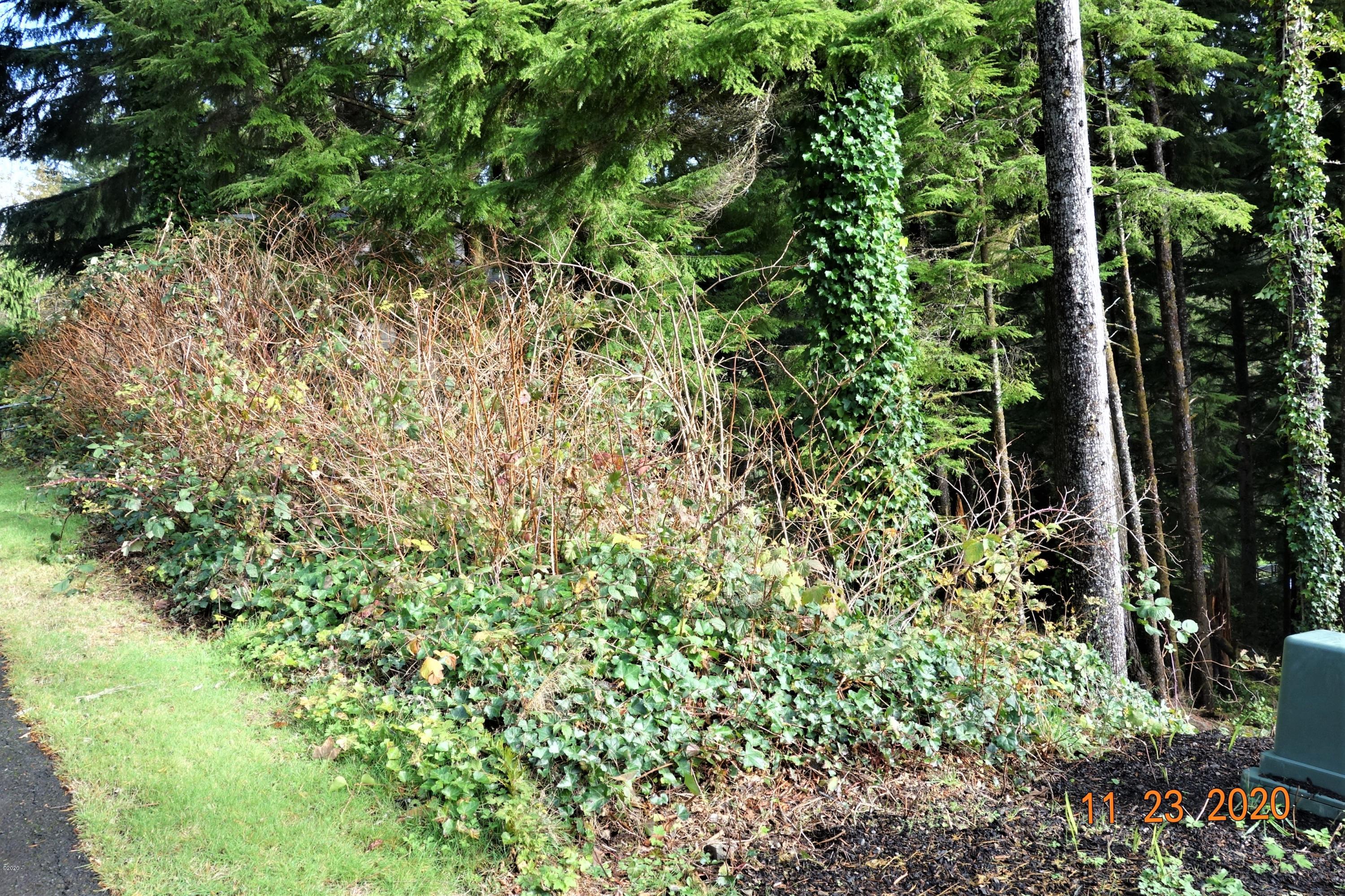 13 Big Tree Road Gleneden Beach, OR 97388 - Photo 2 of 6 DSC04736