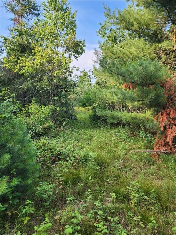 5500 County Highway Sparta, WI 54656 - Photo 9 of 39