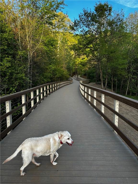 5015 Wayt Farm Cumming, GA 30040 - Photo 2 of 39