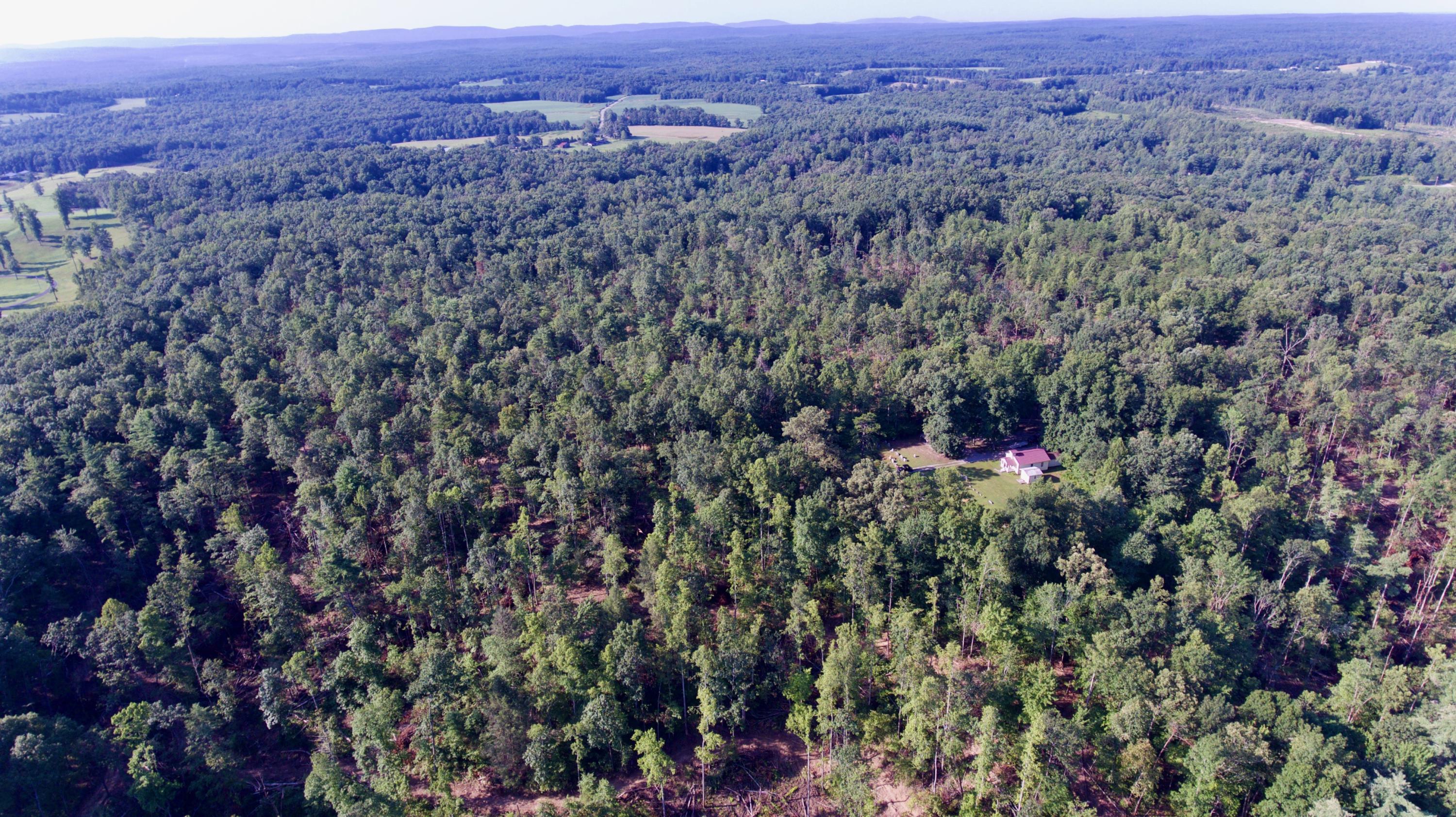Adams Hill Deer Lodge, TN 37726 - Photo 1 of 40 1