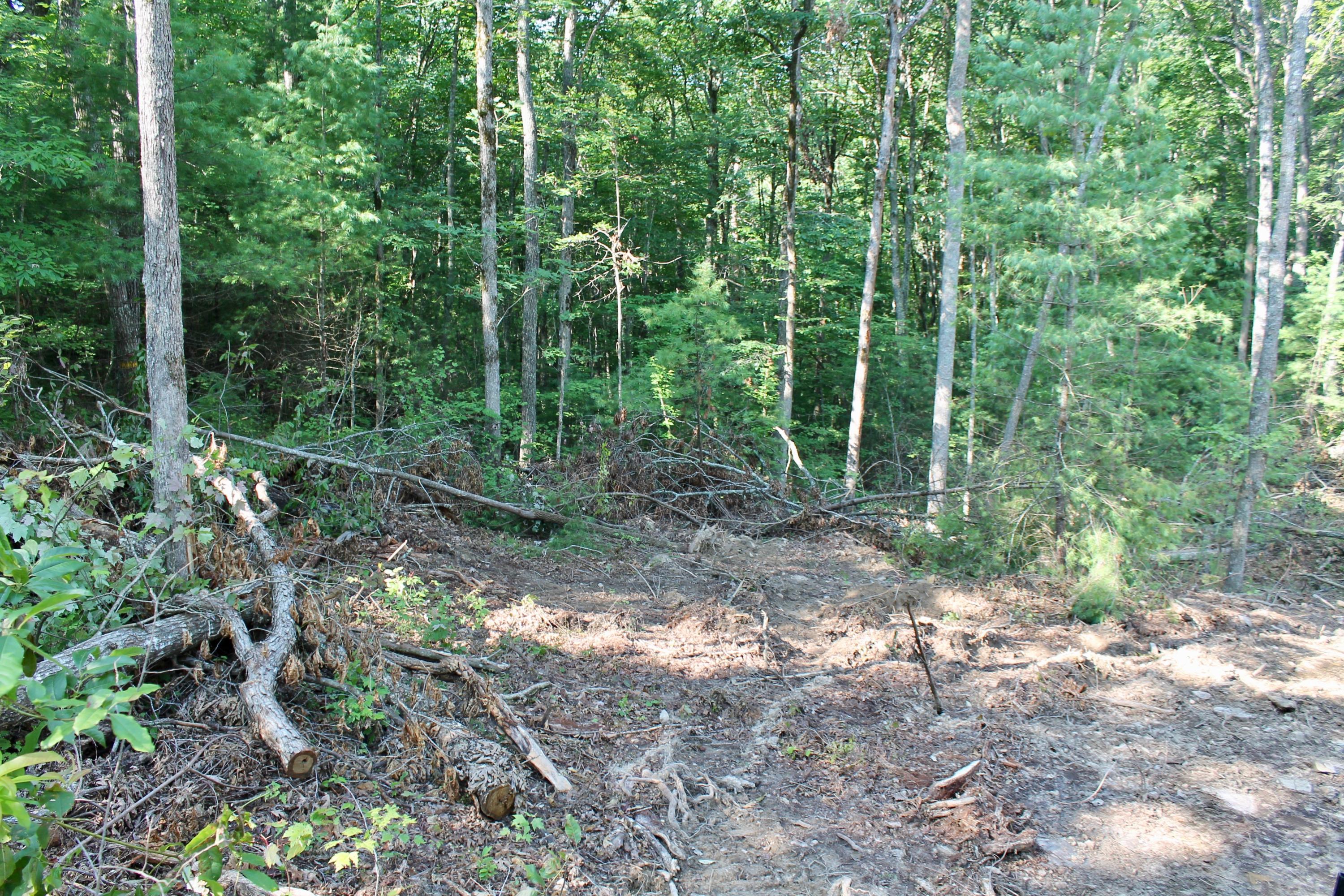 Adams Hill Deer Lodge, TN 37726 - Photo 11 of 40 11