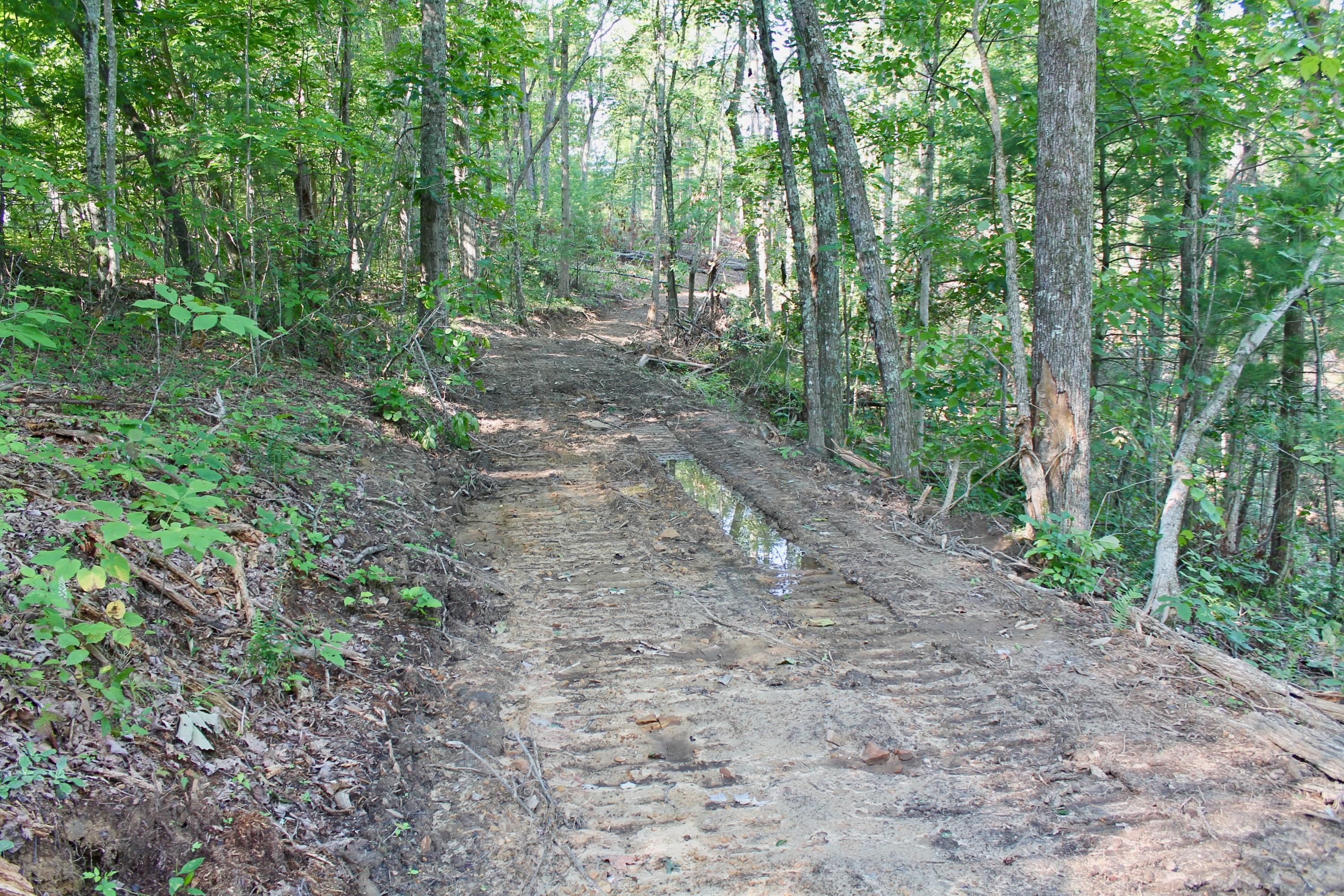 Adams Hill Deer Lodge, TN 37726 - Photo 13 of 40 13