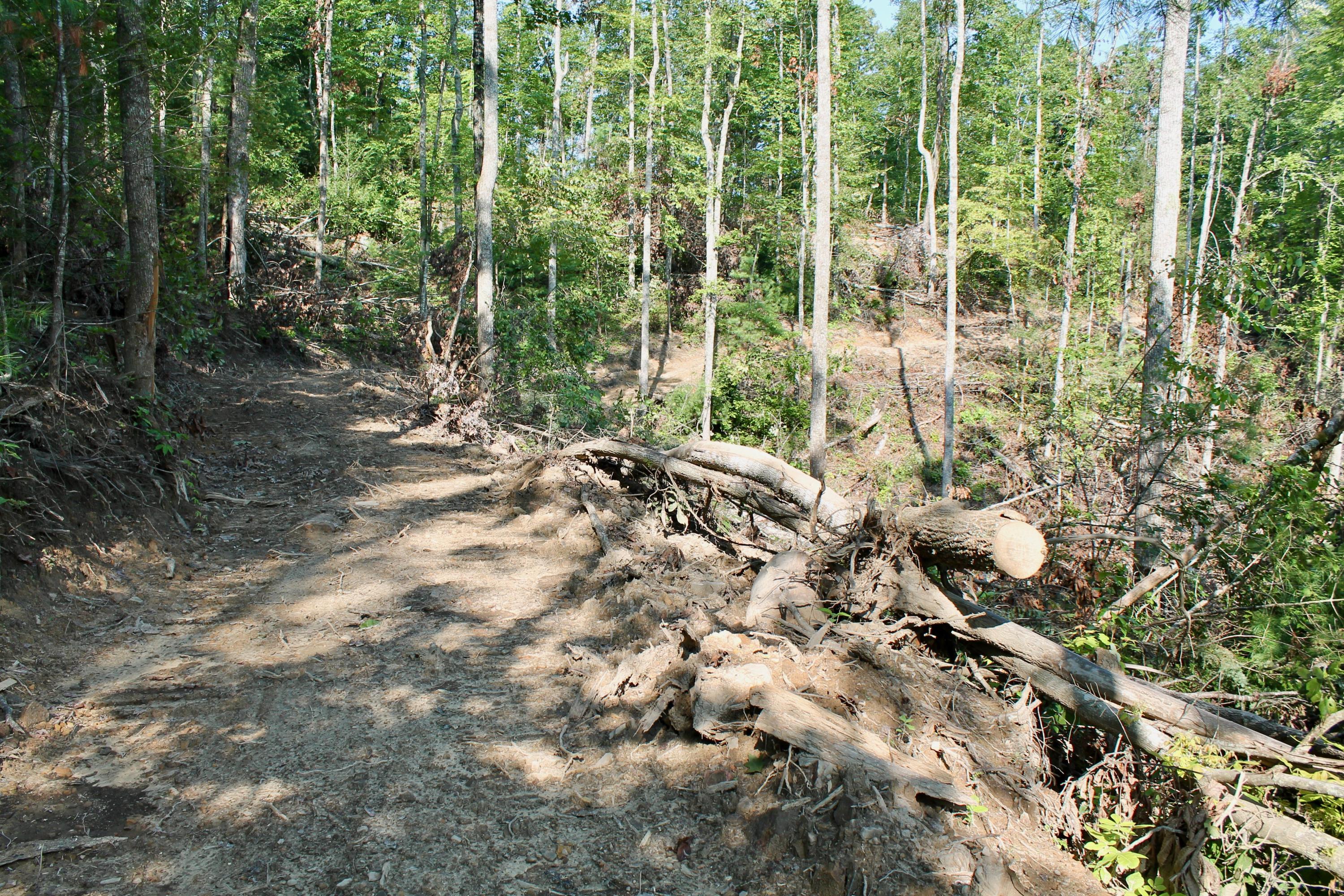 Adams Hill Deer Lodge, TN 37726 - Photo 14 of 40 14