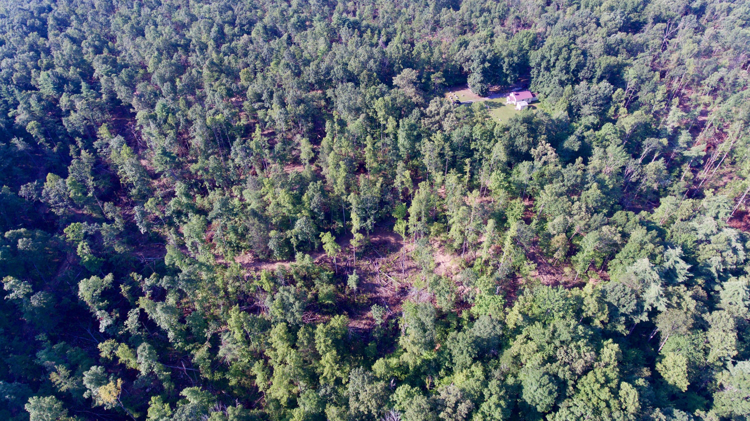 Adams Hill Deer Lodge, TN 37726 - Photo 17 of 40 17