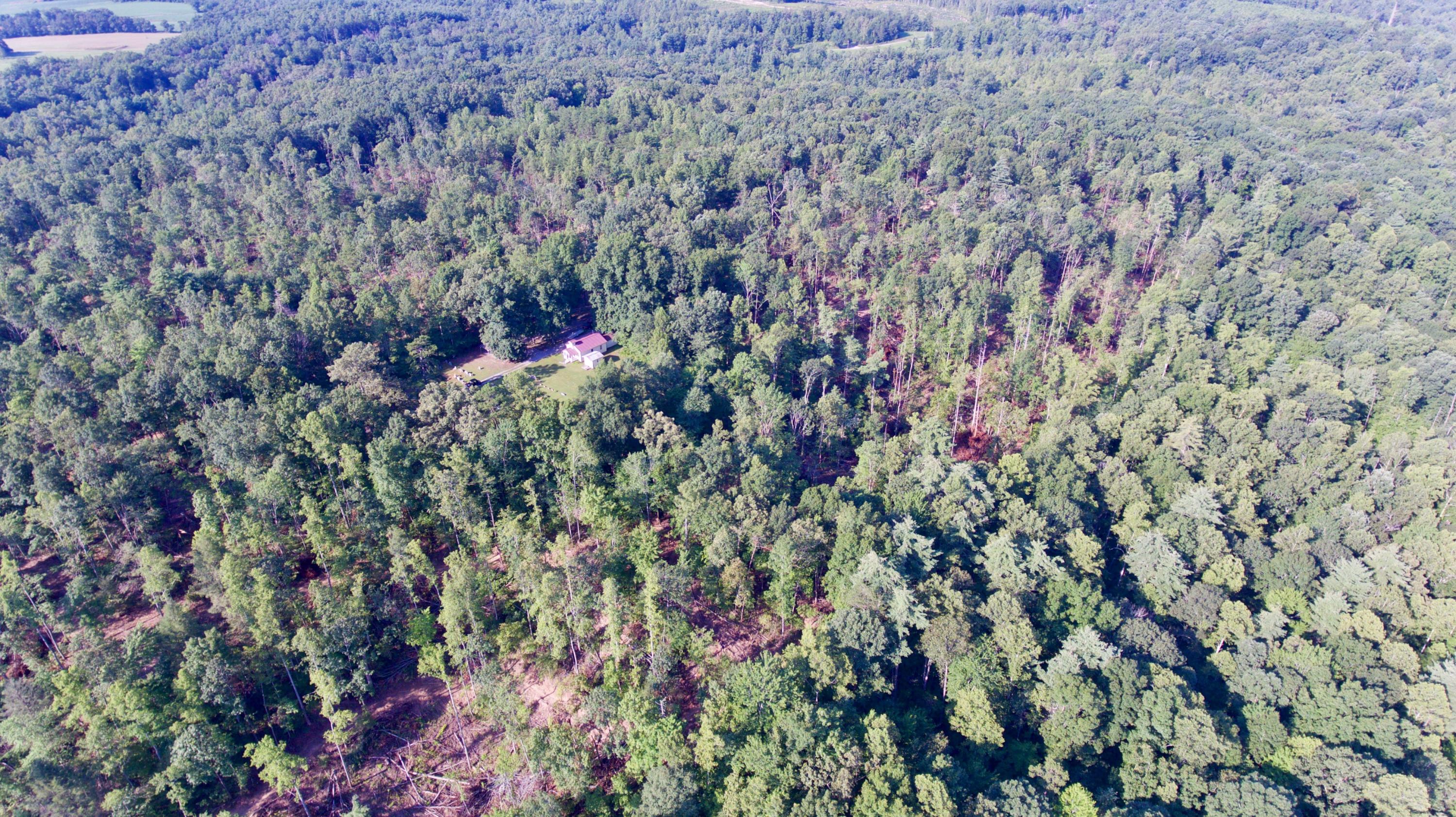 Adams Hill Deer Lodge, TN 37726 - Photo 22 of 40 22