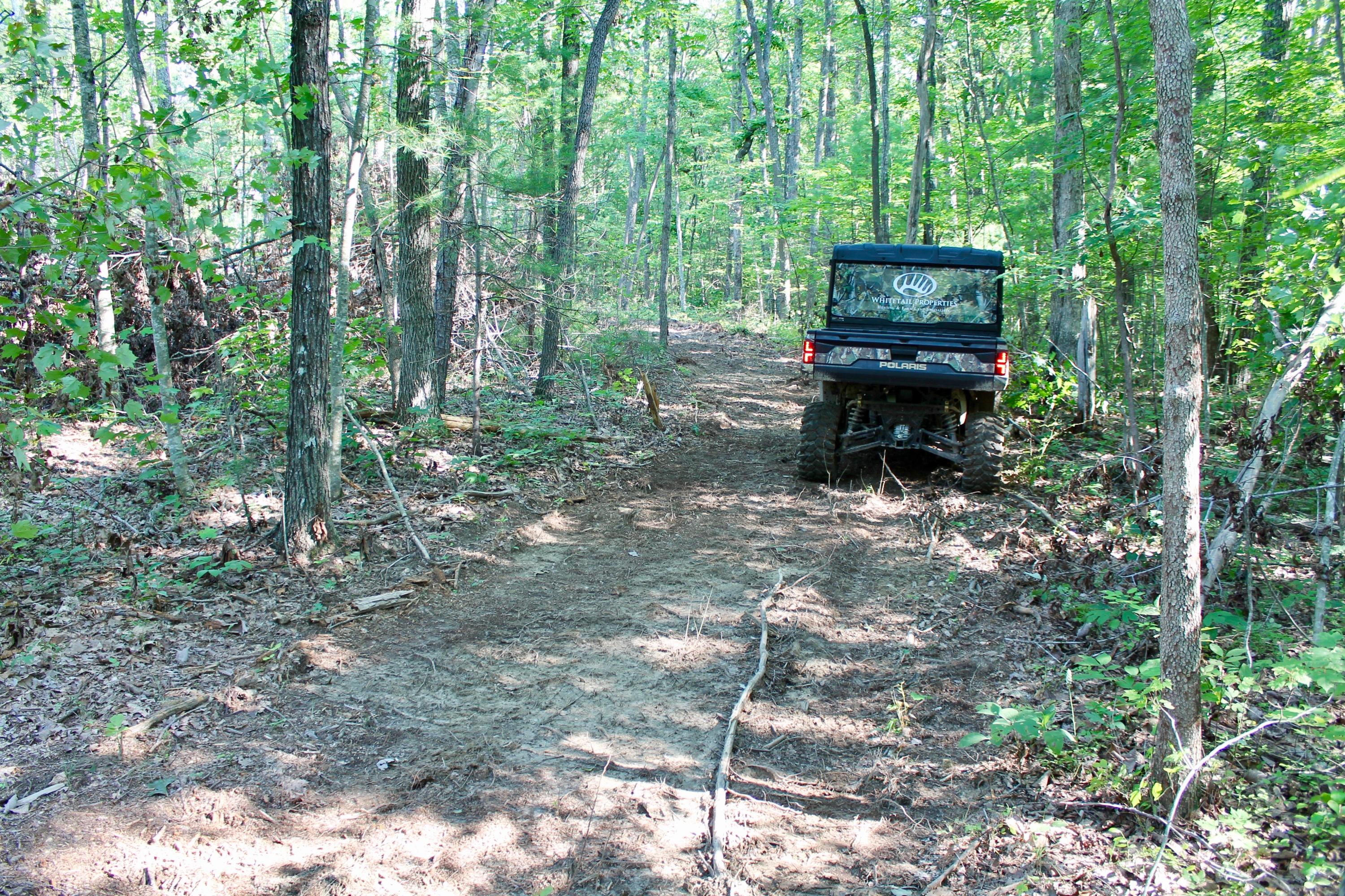 Adams Hill Deer Lodge, TN 37726 - Photo 23 of 40 23