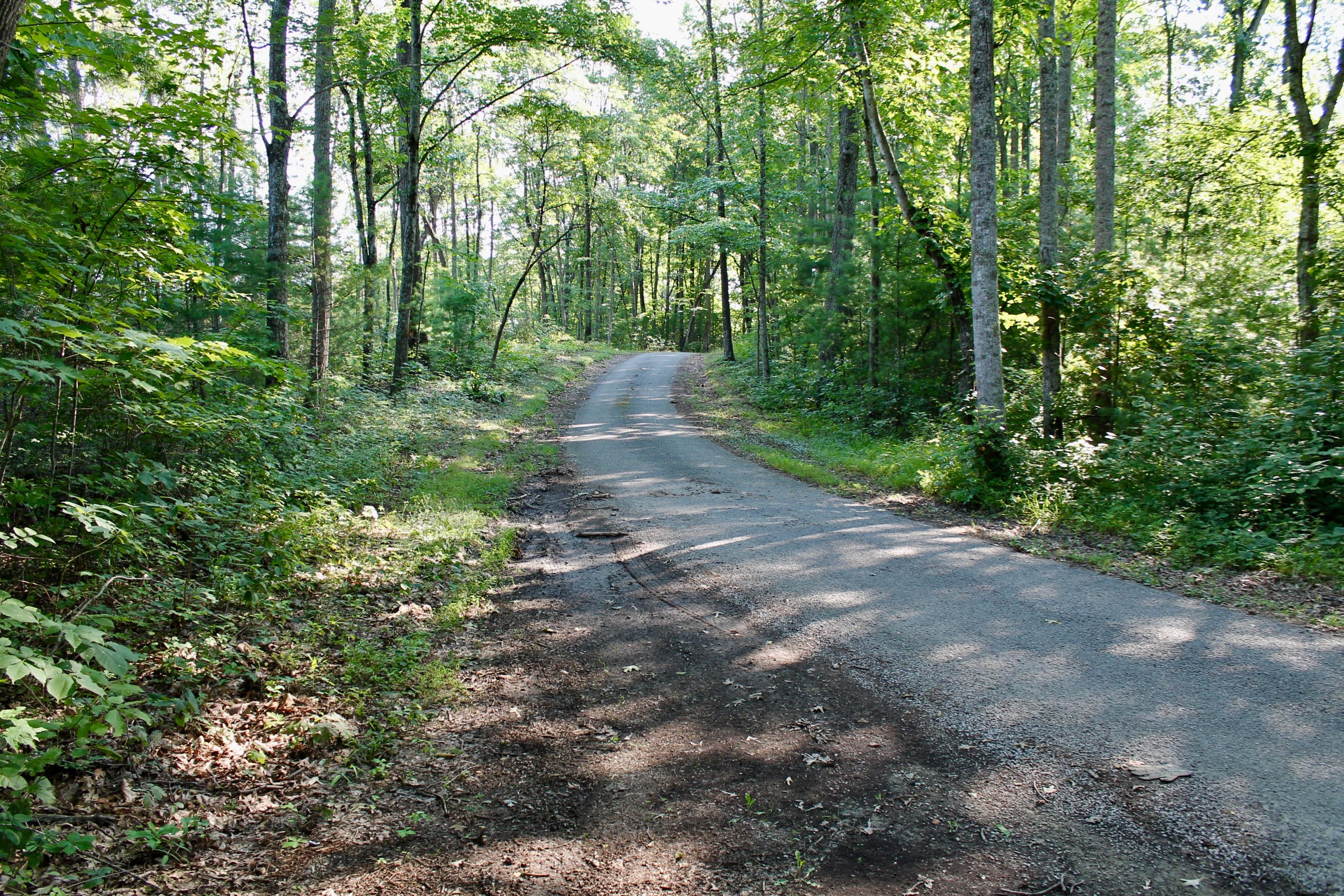 Adams Hill Deer Lodge, TN 37726 - Photo 27 of 40 27