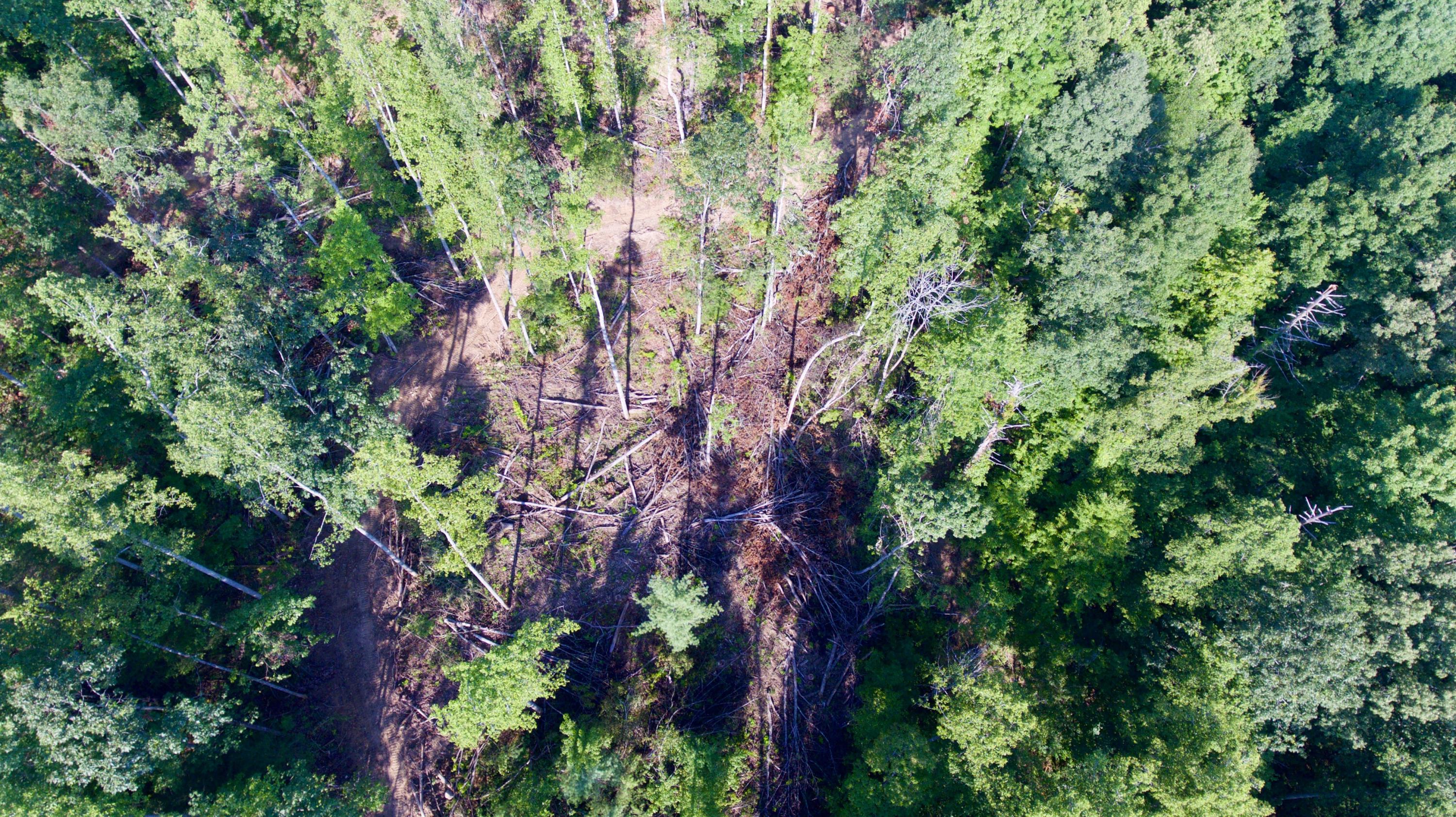 Adams Hill Deer Lodge, TN 37726 - Photo 28 of 40 DJI_0001